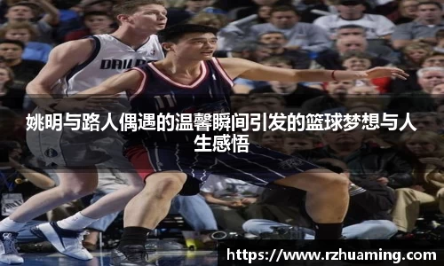 OD体育官网入口